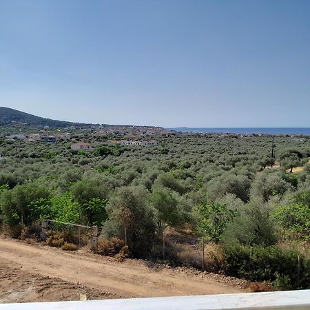 Sto Lofo Apartments Kalyvia-Limenaria Thassos Exterior foto
